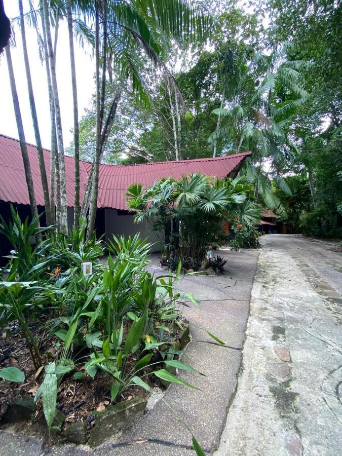 Reservamazon Forest Hotel Belém Extérieur photo